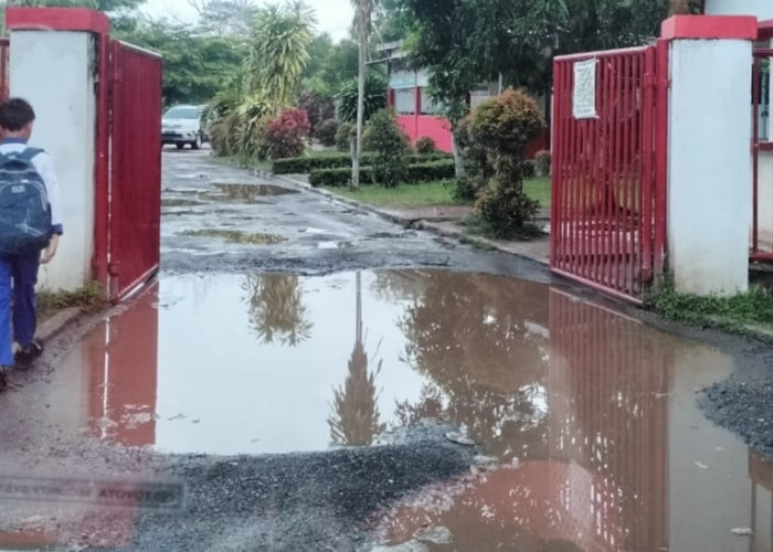 Lingkungan SDN 41 Plus Banyuasin III Dikeluhkan, Terdapat Genangan Sarang Penyakit! 