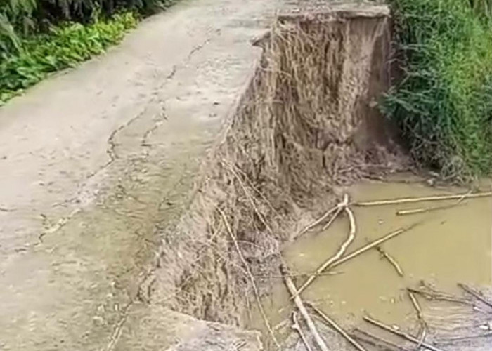 Jalan Penghubung Desa Tebing Abang-Rantau Bayur Longsor 150 Meter, Aktivitas Warga Terganggu