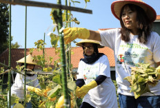 Berdayakan Perempuan, BRI Raih Penghargaan Indonesia Women's Empowerment Principles Awards 2024