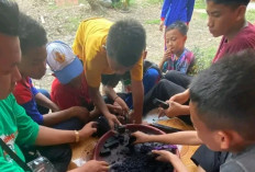 Tempurung Kelapa Disulap Menjadi Briket