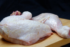 Suka dengan Olahan Ayam, Cek Dulu Kandungan Manfaat dari Bagian Tubuh Ayam Sebelum Mengonsumsinya!