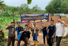 Dukung GSMP, SMAN 1 Banyuasin III Manfaatkan Lahan di Lingkungan Sekolah