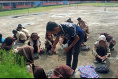 Dukung GSMP, SMAN 1 Rantau Bayur Budidaya Cabe