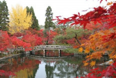 Keindahan Kuil Eikando: Tempat Terbaik Menikmati Momiji di Kyoto