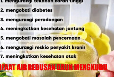 Tekanan Darah Tinggi? Atasi dengan Daun Mengkudu, Termasuk Penyakit Ini!