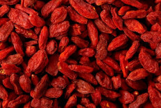 Kulit Glowing, Mata Sehat, Imun Kuat? Goji Berry Jawabannya!