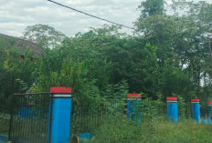 Rumdin OPD Banyuasin tak Terurus 