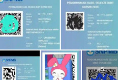 Ini Dia Nama Peserta Didik SMAN 1 Betung Lulus di PTN Jalur SNBT - UTBK