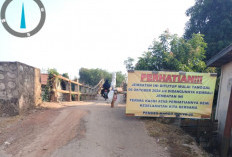 Jembatan Penghubung Sembilan Desa Banyuasin Nyaris Roboh, Ini Kata Pemkab! 