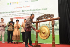 Sekda Sumsel Tekankan Pentingnya Pengelolaan Lahan Gambut dalam Lokakarya Peat-IMPACTS