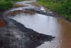 Jalan Lubuk Keranji - Rimba Terap Rusak Parah, Warga Keluhkan Truk Bertonase Berat