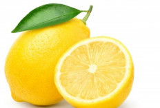 Lemon Lebih dari Sekadar Penyegar! Simak Manfaat Dahsyatnya untuk Kesehatan Tubuh