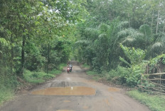 Jalan Poros Petaling-Pengumbuk Rusak Parah