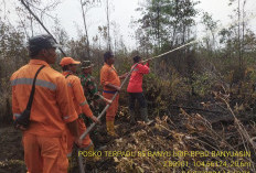 Dua Titik Api Ditemukan di Banyuasin, BPBD Siaga Darurat Karhutlabun!