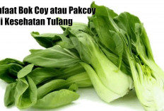 Bok Choy: Sayuran Super untuk Tulang Kuat dan Otot Sehat