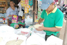 Harga Beras Turun, Masyarakat Terbantu dengan Pasar Murah