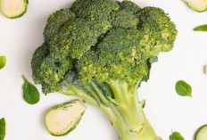 Tak Perlu Obat Diet, Brokoli Saja Sudah Cukup untuk Turunkan Berat Badan!