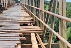 Kerusakan Jembatan Tanah Kering Pulau Rimau, Bupati Askolani: Proses Tender, Segera Diperbaiki
