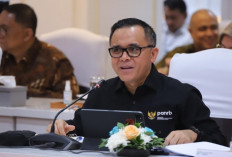 Seleksi CPNS Tahun 2024 Segera Dibuka, Ini Cara Daftarnya Jangan Sampai Salah