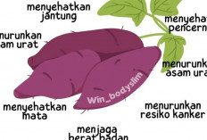 Kenapa Harus Makan Ubi Ungu? Ini Manfaat Luar Biasanya!