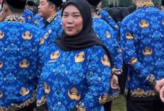 Kisah Honorer Banyuasin Mengabdi 17 Tahun, Sundari: Alhamdulillah Penantian Panjang Berbuah Manis