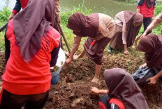 Wujudkan Gertas, SMPN 6 Rantau Bayur Gelar Gotong Royong