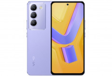 Pengalaman Visual Maksimal di Vivo Y100 Ultra dengan Layar AMOLED 120Hz 