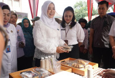 Ketua TP PKK Sumsel Tinjau Pasar Murah Semarakan HUT Ke-79 Provinsi Sumsel