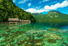 7 Pantai Terindah di Indonesia, Pantai Pasir Timbul Raja Ampat Juaranya !