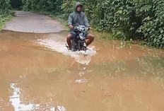 Banjir Menggenangi Jalan Penghubung Rimba Alai ke Desa Sidang Emas, Hambat Aktivitas Warga