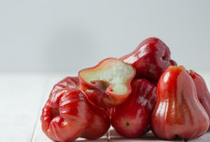 Kandungan Airnya 90%! Jambu Air Bisa Gantikan Minuman Isotonik, Benarkah?
