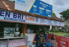 Ini Dia Beberapa Fasilitas dan Biaya Layanan BRI Link