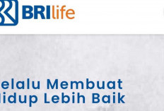 BRI Life Beragam Produk Dengan Aneka Proteksi, Pendidikan, Kecelakaan Hingga Jiwa