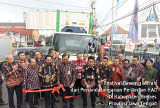 Upaya Pengendalian Inflasi : Pemkab Banyuasin-Brebes Tandatangani MOU Budidaya Bawang Merah !