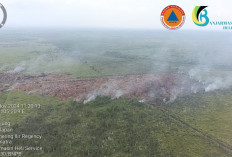 Meski Hujan, Kebakaran Lahan di Pangkalan Lampam dan Tulung Selapan OKI Masih Menyisakan Asap