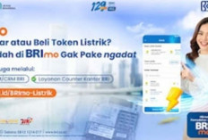 Cara Mudah Beli Token Listrik Melalui Aplikasi BRImo