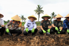 Pemprov Sumsel Dukung Program Percepatan Ketahanan Pangan, Launching Gugus Tugas Polri