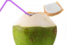 Kapan Harus Minum Air Kelapa Muda? Ini Tips Terbaiknya!