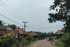 Logat Bahasa Melayu Desa Rimba Alai Masih Kental dan Terjaga