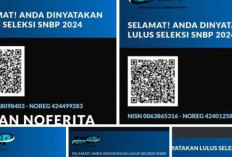 5 Siwa SMKN 1 Banyuasin III Lulus Jalur Undangan, Tekni Energi Terbarukan Jadi Pilihan