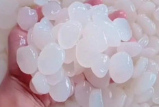 Tips Sehat Konsumsi Kolang-Kaling untuk Kontrol Gula Darah
