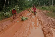 Jalan Penghubung Desa Sidang Emas Rusak Parah, Warga Kesulitan Melintas