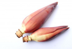 Bukan Sekadar Sayur: Ini 8 Khasiat Jantung Pisang bagi Kesehatan