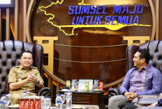 Pj Gubernur Sumsel: Masih Ada 24 Desa yang Belum Teraliri Listrik