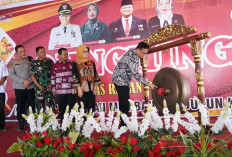 Tekan Angka Rawan Pangan Daerah, Pemkab Banyuasin Launching GMDK