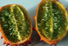 Fakta Unik Kiwano, Si Melon Berduri yang Kaya Nutrisi