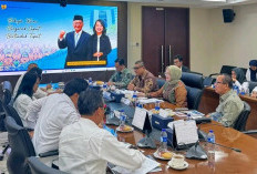 Wabup Banyuasin Audiensi dengan Wamen PUPR: Bahas Infrastruktur Jalan Inpres dan TPST Semuntul