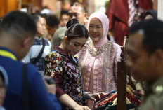 Ketua Umum Dekranas Apresiasi Produk Lokal Sumsel