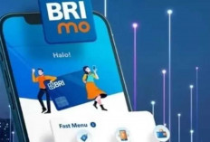 Tak Perlu Khawatir Telat Bayar Listrik ada Brimo Bayar Kapan Saja Lewat Handphone