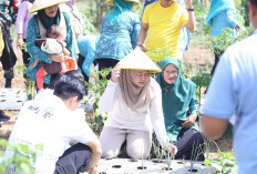 Feby Deru Panen Bersama di Talang Jambe, Bukti Sinergi PKK dan Masyarakat Wujudkan Mandiri Pangan